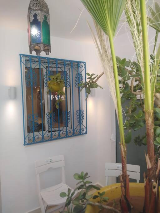 Cosy Appartement In "Sidi Bou Said" Екстериор снимка