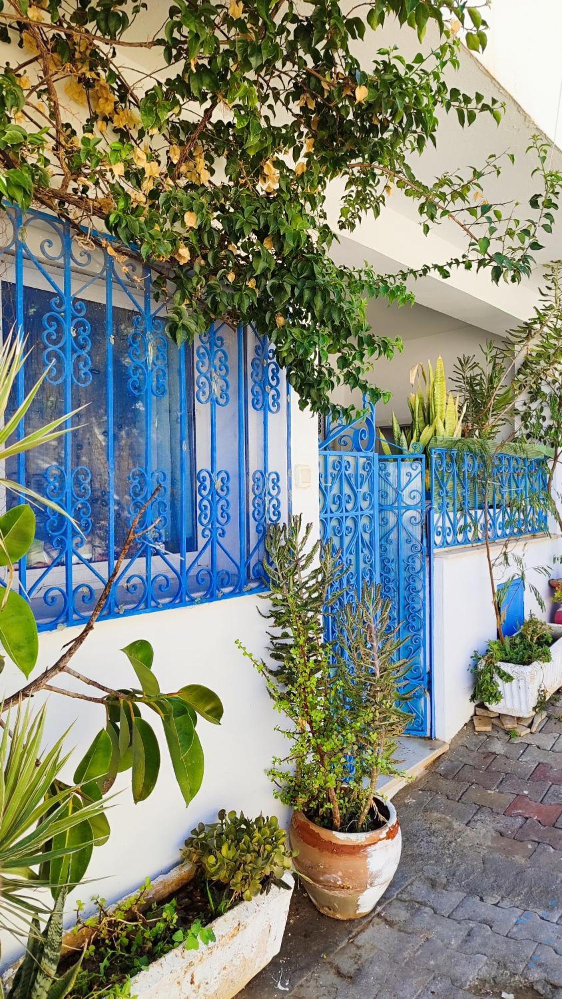 Cosy Appartement In "Sidi Bou Said" Екстериор снимка
