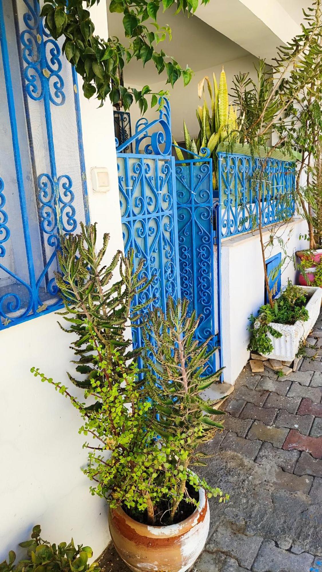 Cosy Appartement In "Sidi Bou Said" Екстериор снимка
